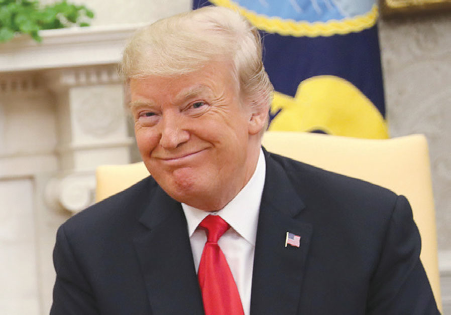 US President Donald Trump Photo By: REUTERS After Midterms, Trump retains power where it matters