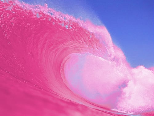 Forget About The “Blue Wave,” Because Another Pink Wave Just Swept ...