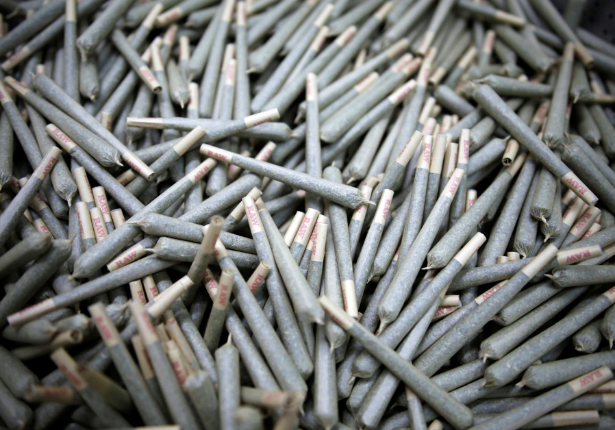 Cigarettes filled with medical cannabis are seen at Pharmocann, an Israeli medical cannabis company in northern Israel January 24, 2019. Picture taken January 24, 2019. Photo By: AMIR COHEN/REUTERS Medical cannabis to be made available by prescription for certain illnesses