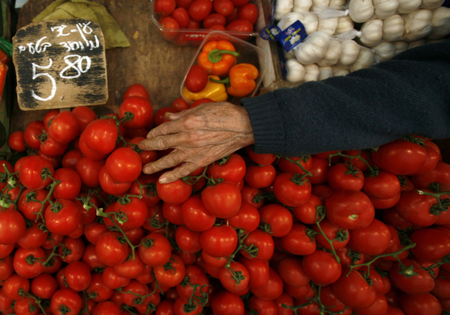 A vendor arranges tomatoes on his stand at the Mahne Yehuda market in Jerusalem. Rising food and fuel prices in Israel have brought public pressure on Prime Minister Benjamin Netanyahu to announce tax relief measures and the country's biggest trade union is considering a national strike (February 9, Photo By: BAZ RATNER/REUTERS A vendor arranges tomatoes on his stand at the Mahne Yehuda market in Jerusalem (February 9, 2011).
