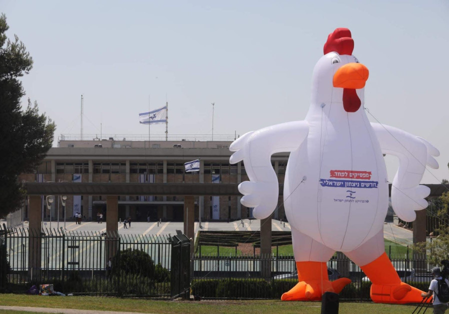 The Goldin Family, the Bereaved Families Forum and the Israeli Victory Organization placed an inflatable chicken doll outside the Knesset on August 14th, 2019 Photo By: MARC ISRAEL SELLEM/THE JERUSALEM POST The Goldin Family, the Bereaved Families Forum and the Israeli Victory Organization placed an inflat