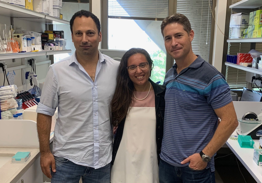 Tel Aviv University researchers (from left): Dr. Yaron Carmi, Diana Rasuluniriana, Dr. Peleg Ride Photo By: TEL AVIV UNIVERSITY Tel Aviv University researchers (from left): Dr. Yaron Carmi, Diana Rasuluniriana, Dr. Peleg Ride