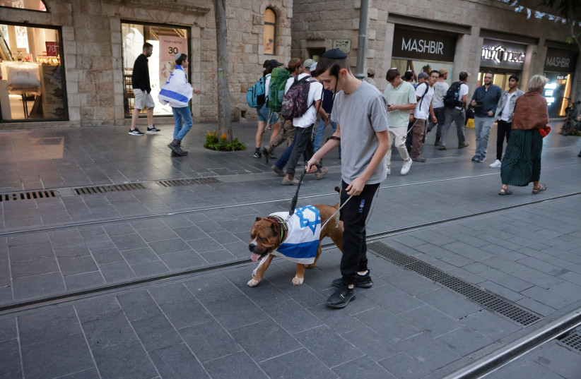 A man walks his dog wrapped in an Israeli flag in Jerusalem on Jerusalem Day, May 18, 2023 (credit: MARC ISRAEL SELLEM) A man walks his dog wrapped in an Israeli flag in Jerusalem on Jerusalem Day, May 18, 2023 (credit: MARC ISRAEL SELLEM)