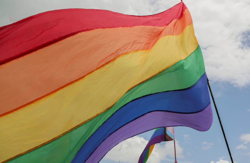Pride flags (credit: REUTERS/RICARDO ROJAS) Pride flags (credit: REUTERS/RICARDO ROJAS)