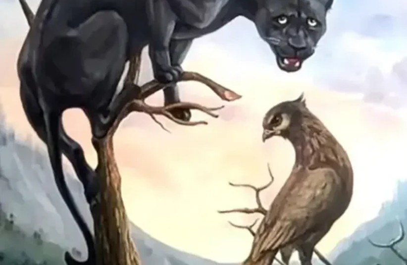 What do you see first in this picture? (credit: MAARIV/TIKTOK) What do you see first in this picture? (credit: MAARIV/TIKTOK)