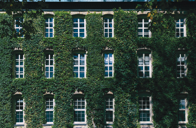 Princeton University, Princeton, New Jersey. (credit: TIM ALEX/UNSPLASH) Princeton University, Princeton, New Jersey. (credit: TIM ALEX/UNSPLASH)